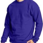 Hanes Mens EcoSmart Fleece Sweatshirt