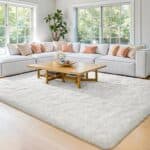 Homore Luxury Fluffy Area Rug Modern Shag