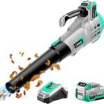 Litheli 20V Cordless Leaf Blower Battery Powered