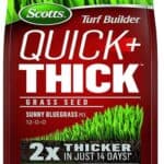 Scotts Turf Builder Quick Thick Grass