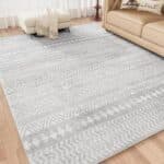 Area Rugs for Living Room 5×7 Boho