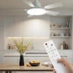 Ceiling Fan with Lights and Remote