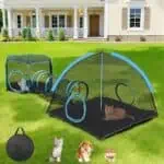 Outdoor Cat Enclosure