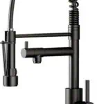 Kitchen Faucet with Pull Down Sprayer Dual