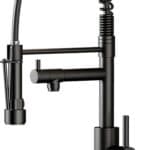 Kitchen Faucet with Pull Down Sprayer Dual
