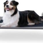 KH Pet Products Outdoor Elevated Dog Cot