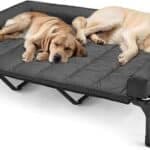 Veehoo Elevated Dog Bed