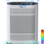 Air Purifiers for Large Room Up