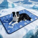 Cooling Dog Mat