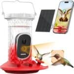 Smart Hummingbird Feeder Camera with AI Identification