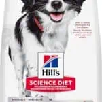 Hills Science Diet Adult Oral Care Small