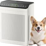 Air Purifiers for Home Large Room up