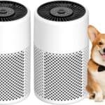 CHIVALZ Air Purifiers for Smoke