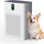 Air Purifiers for Home Large Room up